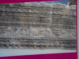 Ciudad de Jumilla 2023